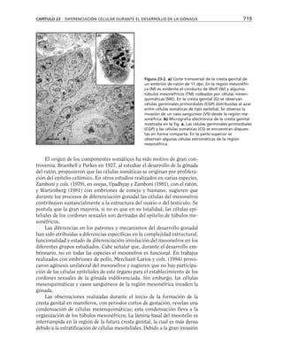 biologia-celular-y-molecular.pdf