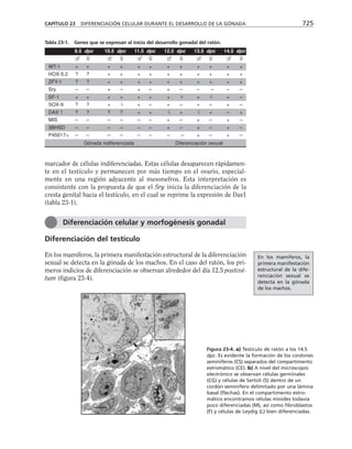 biologia-celular-y-molecular.pdf