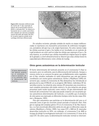 biologia-celular-y-molecular.pdf