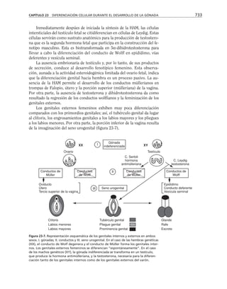 biologia-celular-y-molecular.pdf