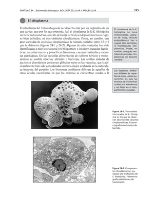 biologia-celular-y-molecular.pdf
