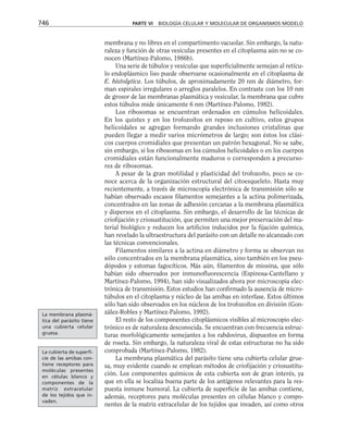 biologia-celular-y-molecular.pdf