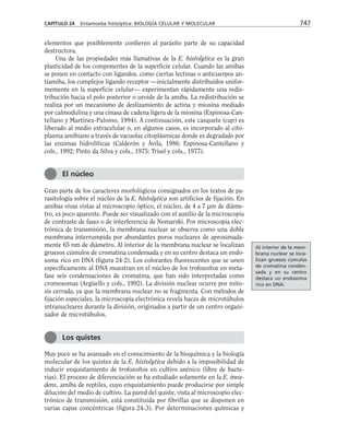 biologia-celular-y-molecular.pdf