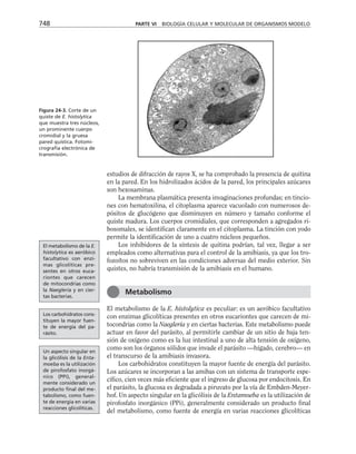 biologia-celular-y-molecular.pdf