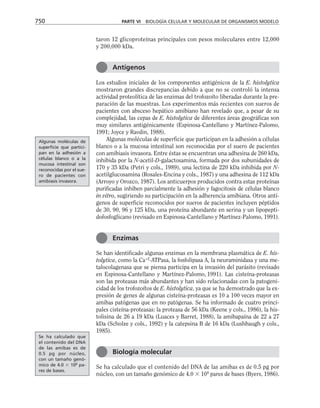 biologia-celular-y-molecular.pdf