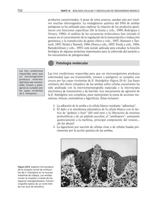 biologia-celular-y-molecular.pdf
