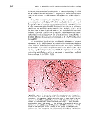 biologia-celular-y-molecular.pdf