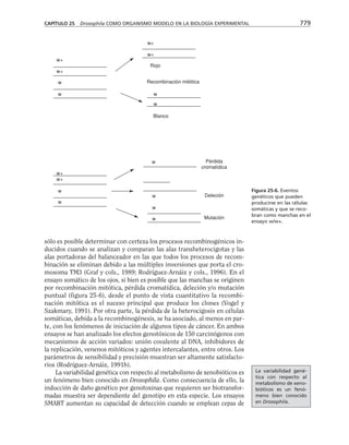 biologia-celular-y-molecular.pdf