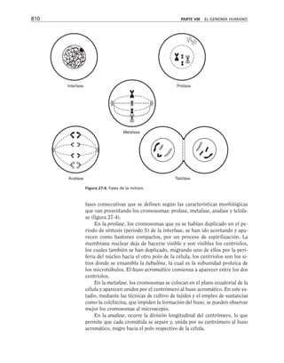 biologia-celular-y-molecular.pdf