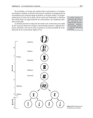 biologia-celular-y-molecular.pdf