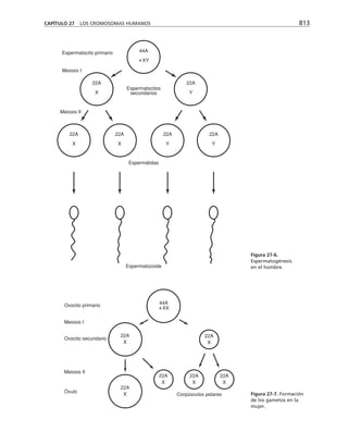 biologia-celular-y-molecular.pdf