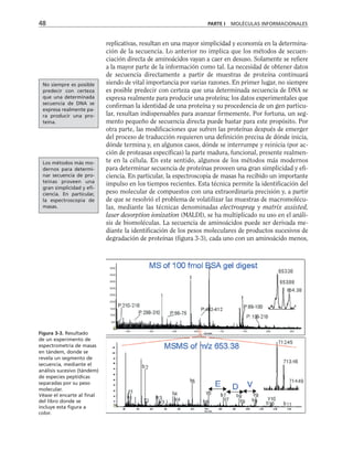 48 PARTE I MOLÉCULAS INFORMACIONALES
replicativas, resultan en una mayor simplicidad y economía en la determina-
ción de la secuencia. Lo anterior no implica que los métodos de secuen-
ciación directa de aminoácidos vayan a caer en desuso. Solamente se refiere
a la mayor parte de la información como tal. La necesidad de obtener datos
de secuencia directamente a partir de muestras de proteína continuará
siendo de vital importancia por varias razones. En primer lugar, no siempre
es posible predecir con certeza que una determinada secuencia de DNA se
expresa realmente para producir una proteína; los datos experimentales que
confirman la identidad de una proteína y su procedencia de un gen particu-
lar, resultan indispensables para avanzar firmemente. Por fortuna, un seg-
mento pequeño de secuencia directa puede bastar para este propósito. Por
otra parte, las modificaciones que sufren las proteínas después de emerger
del proceso de traducción requieren una definición precisa de dónde inicia,
dónde termina y, en algunos casos, dónde se interrumpe y reinicia (por ac-
ción de proteasas específicas) la parte madura, funcional, presente realmen-
te en la célula. En este sentido, algunos de los métodos más modernos
para determinar secuencia de proteínas proveen una gran simplicidad y efi-
ciencia. En particular, la espectroscopia de masas ha recibido un importante
impulso en los tiempos recientes. Esta técnica permite la identificación del
peso molecular de compuestos con una extraordinaria precisión y, a partir
de que se resolvió el problema de volatilizar las muestras de macromolécu-
las, mediante las técnicas denominadas electrospray y matrix assisted,
laser desorption ionization (MALDI), se ha multiplicado su uso en el análi-
sis de biomoléculas. La secuencia de aminoácidos puede ser derivada me-
diante la identificación de los pesos moleculares de productos sucesivos de
degradación de proteínas (figura 3-3), cada uno con un aminoácido menos,
500
1000
1500
2000
2500
3000
3500
4000
4500
500 550 600 650 700 750 800 850
Figura 3-3. Resultado
de un experimento de
espectrometría de masas
en tándem, donde se
revela un segmento de
secuencia, mediante el
análisis sucesivo (tándem)
de especies peptídicas
separadas por su peso
molecular.
Véase el encarte al final
del libro donde se
incluye esta figura a
color.
No siempre es posible
predecir con certeza
que una determinada
secuencia de DNA se
expresa realmente pa-
ra producir una pro-
teína.
Los métodos más mo-
dernos para determi-
nar secuencia de pro-
teínas proveen una
gran simplicidad y efi-
ciencia. En particular,
la espectroscopia de
masas.
 