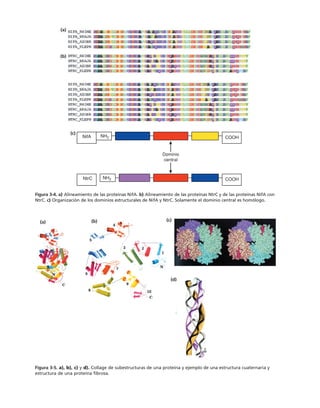 biologia-celular-y-molecular.pdf