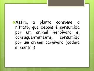 Assim, a planta consome o
nitrato, que depois é consumida
por um animal herbívoro e,
consequentemente, consumido
por um animal carnívoro (cadeia
alimentar)
 