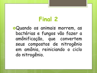 Final 2
Quando os animais morrem, as
bactérias e fungos vão fazer a
amônificação, que convertem
seus compostos de nitrogênio
em amônia, reiniciando o ciclo
do nitrogênio.
 
