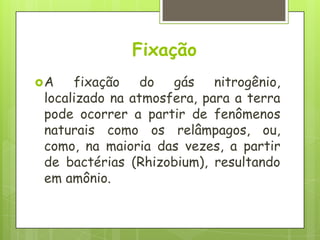 Fixação
A fixação do gás nitrogênio,
localizado na atmosfera, para a terra
pode ocorrer a partir de fenômenos
naturais como os relâmpagos, ou,
como, na maioria das vezes, a partir
de bactérias (Rhizobium), resultando
em amônio.
 