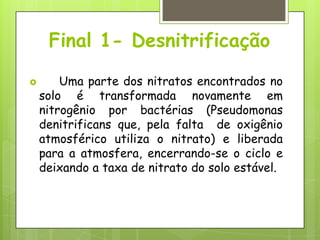 Final 1- Desnitrificação
 Uma parte dos nitratos encontrados no
solo é transformada novamente em
nitrogênio por bactérias (Pseudomonas
denitrificans que, pela falta de oxigênio
atmosférico utiliza o nitrato) e liberada
para a atmosfera, encerrando-se o ciclo e
deixando a taxa de nitrato do solo estável.
 