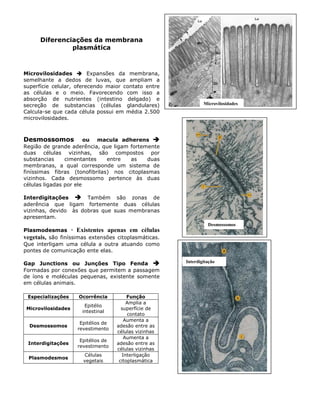 Diferenciações da membrana
plasmática
Microvilosidades Expansões da membrana,
semelhante a dedos de luvas, que ampliam a
superfície celular, oferecendo maior contato entre
as células e o meio. Favorecendo com isso a
absorção de nutrientes (intestino delgado) e
secreção de substancias (células glandulares)
Calcula-se que cada célula possui em média 2.500
microvilosidades.
Desmossomos ou macula adherens
Região de grande aderência, que ligam fortemente
duas células vizinhas, são compostos por
substancias cimentantes entre as duas
membranas, a qual corresponde um sistema de
finíssimas fibras (tonofibrilas) nos citoplasmas
vizinhos. Cada desmossomo pertence às duas
células ligadas por ele
Interdigitações Também são zonas de
aderência que ligam fortemente duas células
vizinhas, devido às dobras que suas membranas
apresentam.
Plasmodesmas · Existentes apenas em células
vegetais, são finíssimas extensões citoplasmáticas.
Que interligam uma célula a outra atuando como
pontes de comunicação ente elas.
Gap Junctions ou Junções Tipo Fenda
Formadas por conexões que permitem a passagem
de íons e moléculas pequenas, existente somente
em células animais.
Especializações Ocorrência Função
Microvilosidades
Epitélio
intestinal
Amplia a
superfície de
contato
Desmossomos
Epitélios de
revestimento
Aumenta a
adesão entre as
células vizinhas
Interdigitações
Epitélios de
revestimento
Aumenta a
adesão entre as
células vizinhas
Plasmodesmos
Células
vegetais
Interligação
citoplasmática
Desmossomos
Interdigitação
Microvilosidades
 