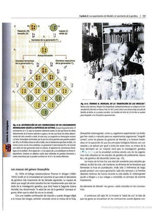 Biologia curtis-7ma-edicion-cap 8-rotated