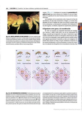 Biologia curtis-7ma-edicion-cap 8-rotated