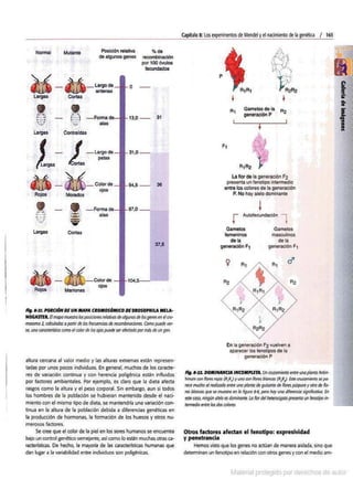 Biologia curtis-7ma-edicion-cap 8-rotated
