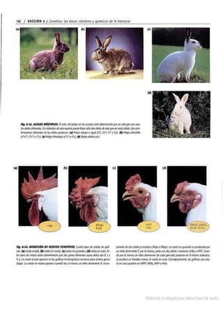 Biologia curtis-7ma-edicion-cap 8-rotated