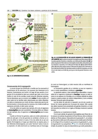 Biologia curtis-7ma-edicion-cap 8-rotated