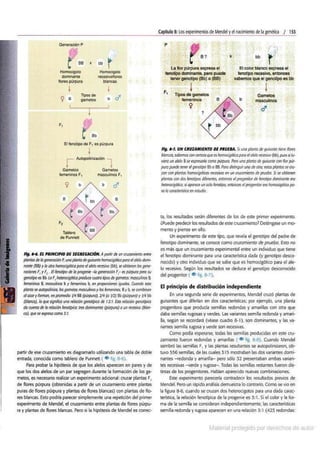 Biologia curtis-7ma-edicion-cap 8-rotated