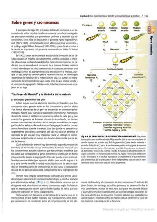Biologia curtis-7ma-edicion-cap 8-rotated