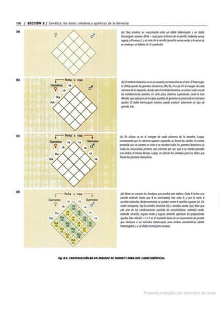 Biologia curtis-7ma-edicion-cap 8-rotated