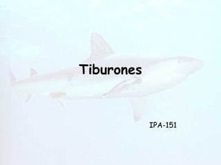 Tiburones IPA-151 