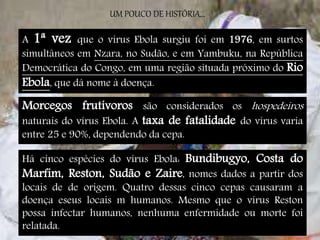 UM POUCO DE HISTÓRIA... 
A 1ª vez que o vírus Ebola surgiu foi em 1976, em surtos 
simultâneos em Nzara, no Sudão, e em Yambuku, na República 
Democrática do Congo, em uma região situada próximo do Rio 
Ebola, que dá nome à doença. 
Morcegos frutívoros são considerados os hospedeiros 
naturais do vírus Ebola. A taxa de fatalidade do vírus varia 
entre 25 e 90%, dependendo da cepa. 
Há cinco espécies do vírus Ebola: Bundibugyo, Costa do 
Marfim, Reston, Sudão e Zaire, nomes dados a partir dos 
locais de de origem. Quatro dessas cinco cepas causaram a 
doença eseus locais m humanos. Mesmo que o vírus Reston 
possa infectar humanos, nenhuma enfermidade ou morte foi 
relatada. 
 
