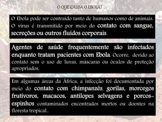 O QUE CAUSA O EBOLA? 
O Ebola pode ser contraído tanto de humanos como de animais. 
O vírus é transmitido por meio do contato com sangue, 
secreções ou outros fluídos corporais. 
Agentes de saúde frequentemente são infectados 
enquanto tratam pacientes com Ebola. Ocorre, devido ao 
contato sem o uso de luvas, máscaras ou óculos de proteção 
apropriados. 
Em algumas áreas da África, a infecção foi documentada por 
meio do contato com chimpanzés, gorilas, morcegos 
frutívoros, macacos, antílopes selvagens e porcos-espinhos 
contaminados encontrados mortos ou doentes na 
floresta tropical.. 
 