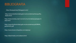 BIBLIOGRAFIA
http://bosquemesof.blogspot.com/
http://www.biodiversidad.gob.mx/ecosistemas/bosqueNu
blado.html
http://www.revista.unam.mx/vol.1/num2/sabias/paisajes/ni
ebla.html
http://www.biodiversidad.gob.mx/ecosistemas/pdf/BMM_
parte%201.pdf
http://www.bioenciclopedia.com/sabana/
http://deanimalia.com/sabana.html
 