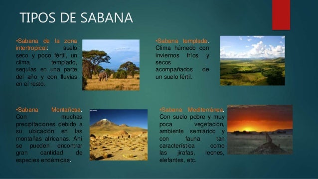 Exposición de Ecosistemas.