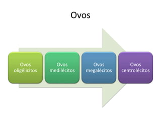 Ovos
Ovos
oligélicitos
Ovos
medilécitos
Ovos
megalécitos
Ovos
centrolécitos
 