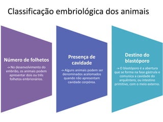 Classificação embriológica dos animais
Número de folhetos
-> No desenvolvimento do
embrião, os animais podem
apresentar dois ou três
folhetos embrionários.
Presença de
cavidade
-> Alguns animais podem ser
denominados acelomados
quando não apresentam
cavidade corpórea.
Destino do
blastóporo
-> O blastóporo é a abertura
que se forma na fase gástrula e
comunica a cavidade do
arquêntero, ou intestino
primitivo, com o meio externo.
 