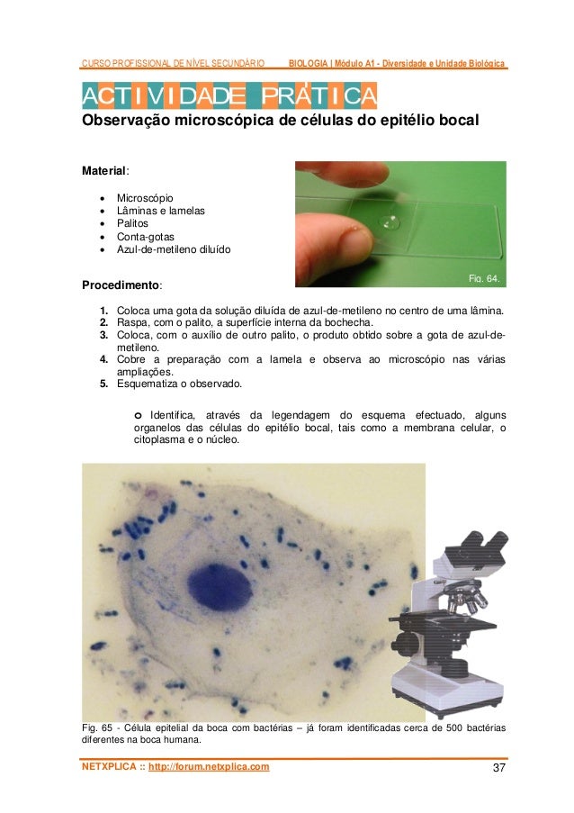 Tratamentos de um fungo em pregos de pernas de um aloés