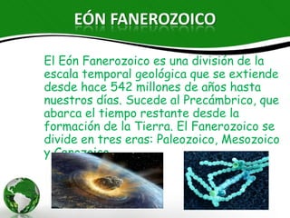 EÓN FANEROZOICO

El Eón Fanerozoico es una división de la escala
temporal geológica que se extiende desde hace
542 millones de años hasta nuestros días.
Sucede al Precámbrico, que abarca el tiempo
restante desde la formación de la Tierra. El
Fanerozoico se divide en tres eras: Paleozoico,
Mesozoico y Cenozoico.
 