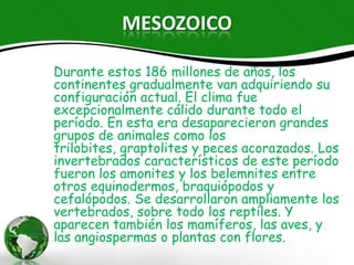 MESOZOICO

Durante estos 186 millones de años, los continentes
gradualmente van adquiriendo su configuración
actual. El clima fue excepcionalmente cálido durante
todo el período. En esta era desaparecieron grandes
grupos de animales como los trilobites, graptolites y
peces acorazados. Los invertebrados característicos de
este período fueron los amonites y los belemnites entre
otros equinodermos, braquiópodos y cefalópodos. Se
desarrollaron ampliamente los vertebrados, sobre
todo los reptiles. Y aparecen también los mamíferos,
las aves, y las angiospermas o plantas con flores.
 