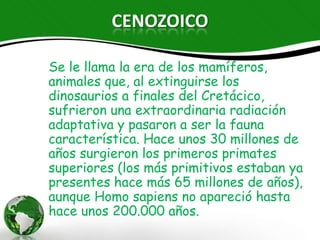 CENOZOICO

Se le llama la era de los mamíferos,
animales que, al extinguirse los dinosaurios
a finales del Cretácico, sufrieron una
extraordinaria radiación adaptativa y
pasaron a ser la fauna característica. Hace
unos 30 millones de años surgieron los
primeros primates superiores (los más
primitivos estaban ya presentes hace más 65
millones de años), aunque Homo sapiens no
apareció hasta hace unos 200.000 años.
 