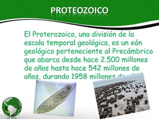 PROTEOZOICO

El Proterozoico, una división de la escala
temporal geológica, es un eón geológico
perteneciente al Precámbrico que abarca
desde hace 2.500 millones de años hasta
hace 542 millones de años, durando 1958
millones de años.
 