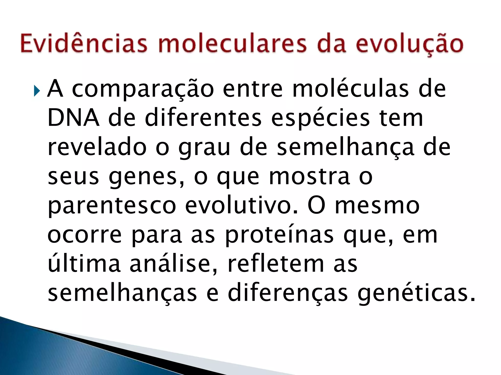  A comparação entre moléculas de
DNA de diferentes espécies tem
revelado o grau de semelhança de
seus genes, o que mostra o
parentesco evolutivo. O mesmo
ocorre para as proteínas que, em
última análise, refletem as
semelhanças e diferenças genéticas.