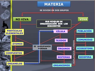 NO VIVA VIVA
PARTÍCULAS
ELEMENTALES
ÁTOMOS
COMPUESTOS
ORGANELOS
CÉLULA
TEJIDOS
ÓRGANOS
SISTEMAS
ORGANISMOS
POBLACIÓN
COMUNIDAD
ECOSISTEMA
BIOSFERA
AGRUPADOS
FORMAN
MATERIA
SE DIVIDE EN DOS GRUPOS
SI AGRUPAMOS
FORMAN
 