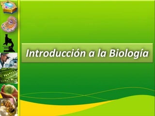 Introducción a la Biología
 