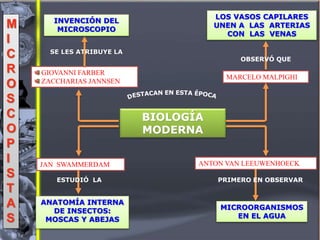 GIOVANNI FARBER
ZACCHARIAS JANNSEN
M
I
C
R
O
S
C
O
P
I
S
T
A
S
SE LES ATRIBUYE LA
INVENCIÓN DEL
MICROSCOPIO
MARCELO MALPIGHI
LOS VASOS CAPILARES
UNEN A LAS ARTERIAS
CON LAS VENAS
JAN SWAMMERDAM
ANATOMÍA INTERNA
DE INSECTOS:
MOSCAS Y ABEJAS
MICROORGANISMOS
EN EL AGUA
ANTON VAN LEEUWENHOECK
BIOLOGÍA
MODERNA
PRIMERO EN OBSERVAR
OBSERVÓ QUE
ESTUDIÓ LA
 