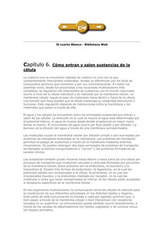 El cuarto Blanco - Biblioteca Web
Capítulo 6. Cómo entran y salen sustancias de la
célula
La materia viva se encuentra rodeada de materia no viva con la que
constantemente intercambia materiales. Ambas se diferencian por los tipos de
compuestos químicos que contienen y por sus concentraciones. En todos los
sistemas vivos, desde los procariotas a los eucariotas multicelulares más
complejos, la regulación del intercambio de sustancias con el mundo inanimado
ocurre a nivel de la célula individual y es realizado por la membrana celular. La
membrana celular regula el paso de materiales hacia dentro y fuera de la célula,
una función que hace posible que la célula mantenga su integridad estructural y
funcional. Esta regulación depende de interacciones entre la membrana y los
materiales que pasan a través de ella.
El agua y los solutos se encuentran entre las principales sustancias que entran y
salen de las células. La dirección en la cual se mueve el agua está determinada por
el potencial hídrico; el agua se mueve desde donde el potencial es mayor hacia
donde es menor. El movimiento de agua ocurre por flujo global y por difusión. La
ósmosis es la difusión del agua a través de una membrana semipermeable.
Las moléculas cruzan la membrana celular por difusión simple o son acarreadas por
proteínas de transporte embutidas en la membrana. Las proteínas de transporte
permiten el pasaje de sustancias a través de la membrana mediante distintos
mecanismos. Se pueden distinguir dos tipos principales de proteínas de transporte:
las llamadas proteínas transportadoras o "carrier" y las proteínas formadoras de
canales iónicos.
Las sustancias también puede moverse hacia dentro y hacia fuera de una célula por
procesos de transporte que involucran vacuolas o vesículas formadas por porciones
de la membrana celular. Estos procesos son la endocitosis, la exocitosis y la
transcitosis §. Existen tres formas de endocitosis: la fagocitosis, en la cual las
partículas sólidas son incorporadas a la célula; la pinocitosis, en la cual son
incorporados líquidos; y la endocitosis mediada por receptor, en la cual las
moléculas o iones que serán transportados al interior de las células están acoplados
a receptores específicos de la membrana celular.
En los organismos multicelulares, la comunicación entre las células es esencial para
la coordinación de sus diferentes actividades en los distintos tejidos y órganos.
Gran parte de esta comunicación es llevada a cabo por agentes químicos que, o
bien pasan a través de la membrana celular o bien interactúan con receptores
situados en su superficie. La comunicación puede también ocurrir directamente, a
través de los canales de plasmodesmos (en tejidos vegetales) o de uniones nexus
(en tejidos animales).
 