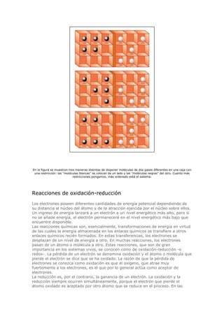 En la figura se muestran tres maneras distintas de disponer moléculas de dos gases diferentes en una caja con
una restricción: las "moléculas blancas" se colocan de un lado y las "moléculas negras" del otro. Cuanto más
restricciones pongamos, más ordenado está el sistema.
Reacciones de oxidación-reducción
Los electrones poseen diferentes cantidades de energía potencial dependiendo de
su distancia al núcleo del átomo y de la atracción ejercida por el núcleo sobre ellos.
Un ingreso de energía lanzará a un electrón a un nivel energético más alto, pero si
no se añade energía, el electrón permanecerá en el nivel energético más bajo que
encuentre disponible.
Las reacciones químicas son, esencialmente, transformaciones de energía en virtud
de las cuales la energía almacenada en los enlaces químicos se transfiere a otros
enlaces químicos recién formados. En estas transferencias, los electrones se
desplazan de un nivel de energía a otro. En muchas reacciones, los electrones
pasan de un átomo o molécula a otro. Estas reacciones, que son de gran
importancia en los sistemas vivos, se conocen como de oxidación-reducción -o
redox-. La pérdida de un electrón se denomina oxidación y el átomo o molécula que
pierde el electrón se dice que se ha oxidado. La razón de que la pérdida de
electrones se conozca como oxidación es que el oxígeno, que atrae muy
fuertemente a los electrones, es el que por lo general actúa como aceptor de
electrones.
La reducción es, por el contrario, la ganancia de un electrón. La oxidación y la
reducción siempre ocurren simultáneamente, porque el electrón que pierde el
átomo oxidado es aceptado por otro átomo que se reduce en el proceso. En las
 