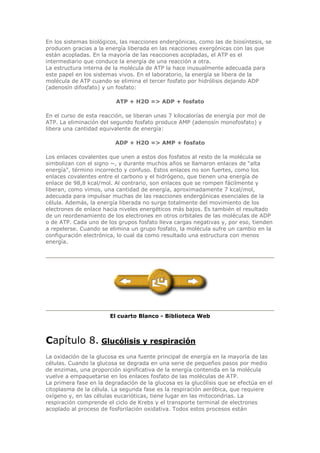 En los sistemas biológicos, las reacciones endergónicas, como las de biosíntesis, se
producen gracias a la energía liberada en las reacciones exergónicas con las que
están acopladas. En la mayoría de las reacciones acopladas, el ATP es el
intermediario que conduce la energía de una reacción a otra.
La estructura interna de la molécula de ATP la hace inusualmente adecuada para
este papel en los sistemas vivos. En el laboratorio, la energía se libera de la
molécula de ATP cuando se elimina el tercer fosfato por hidrólisis dejando ADP
(adenosín difosfato) y un fosfato:
ATP + H2O => ADP + fosfato
En el curso de esta reacción, se liberan unas 7 kilocalorías de energía por mol de
ATP. La eliminación del segundo fosfato produce AMP (adenosín monofosfato) y
libera una cantidad equivalente de energía:
ADP + H2O => AMP + fosfato
Los enlaces covalentes que unen a estos dos fosfatos al resto de la molécula se
simbolizan con el signo ~, y durante muchos años se llamaron enlaces de "alta
energía", término incorrecto y confuso. Estos enlaces no son fuertes, como los
enlaces covalentes entre el carbono y el hidrógeno, que tienen una energía de
enlace de 98,8 kcal/mol. Al contrario, son enlaces que se rompen fácilmente y
liberan, como vimos, una cantidad de energía, aproximadamente 7 kcal/mol,
adecuada para impulsar muchas de las reacciones endergónicas esenciales de la
célula. Además, la energía liberada no surge totalmente del movimiento de los
electrones de enlace hacia niveles energéticos más bajos. Es también el resultado
de un reordenamiento de los electrones en otros orbitales de las moléculas de ADP
o de ATP. Cada uno de los grupos fosfato lleva cargas negativas y, por eso, tienden
a repelerse. Cuando se elimina un grupo fosfato, la molécula sufre un cambio en la
configuración electrónica, lo cual da como resultado una estructura con menos
energía.
El cuarto Blanco - Biblioteca Web
Capítulo 8. Glucólisis y respiración
La oxidación de la glucosa es una fuente principal de energía en la mayoría de las
células. Cuando la glucosa se degrada en una serie de pequeños pasos por medio
de enzimas, una proporción significativa de la energía contenida en la molécula
vuelve a empaquetarse en los enlaces fosfato de las moléculas de ATP.
La primera fase en la degradación de la glucosa es la glucólisis que se efectúa en el
citoplasma de la célula. La segunda fase es la respiración aeróbica, que requiere
oxígeno y, en las células eucarióticas, tiene lugar en las mitocondrias. La
respiración comprende el ciclo de Krebs y el transporte terminal de electrones
acoplado al proceso de fosforilación oxidativa. Todos estos procesos están
 