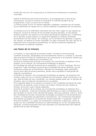 divide sólo una vez. En consecuencia, el número de cromosomas se mantiene
invariable.
Debido al fenómeno del entrecruzamiento y al de segregación al azar de los
cromosomas, durante la meiosis se recombina el material genético de los
progenitores, lo que no ocurre en la mitosis.
La mitosis puede ocurrir en células haploides o diploides, mientras que la meiosis
ocurre solamente en células con un número diploide (o poliploide) de cromosomas.
La meiosis ocurre en diferentes momentos del ciclo vital, según en que especie se
produzca. Aunque la meiosis en los animales produce gametos, en las plantas
produce esporas. Una espora es una célula reproductora haploide que, a diferencia
de un gameto, puede producir un organismo haploide sin haberse fusionado
previamente con otra célula. Sin embargo, con la formación de gametos y esporas
por meiosis, se obtiene el mismo resultado: en algún momento del ciclo vital de un
organismo que se reproduce sexualmente, se reduce la dotación diploide de
cromosomas a la dotación haploide.
Las fases de la meiosis
La meiosis, un tipo especial de división nuclear. Consiste en dos divisiones
nucleares sucesivas, designadas convencionalmente meiosis I y meiosis II. Durante
este proceso de división se redistribuyen los cromosomas y se producen células que
tienen un número haploide de cromosomas (n).
Durante la interfase que precede a la meiosis, los cromosomas se duplican. En la
profase I de la meiosis, los cromosomas homólogos se aparean.
Un homólogo de cada par proviene de un progenitor, y el otro homólogo, del otro
progenitor. Cada homólogo consta de dos cromátides hermanas idénticas, que se
mantienen unidas por el centrómero. Mientras los homólogos están apareados,
ocurre entre ellos el entrecruzamiento, dando como resultado el intercambio de
material cromosómico.
Al finalizar la meiosis I, los cromosomas homólogos se separan. Se producen dos
núcleos, cada uno con un número haploide de cromosomas. Cada cromosoma, a su
vez, está formado por dos cromátides. Los núcleos pueden pasar por un período de
interfase, pero el material cromosómico no se duplica.
En la segunda etapa de la meiosis, la meiosis II, las cromátides hermanas de cada
cromosoma se separan, como si fuese una mitosis. Cuando los dos núcleos se
dividen, se forman cuatro células haploides.
Durante la profase I de la meiosis, los cromosomas homólogos se disponen de a
pares -se aparean-. Cada par homólogo está formado por cuatro cromátides por lo
que también se conoce como tétrada (del griego, tetra que significa "cuatro"). Entre
las cromátides de los dos cromosomas homólogos se produce el entrecruzamiento,
es decir, el intercambio de segmentos cromosómicos. Los cromosomas homólogos
permanecen asociados en los puntos de entrecruzamiento -o quiasmas- hasta el
final de la profase I. c) Luego, los cromosomas comienzan a separarse. Como se
puede ver, las cromátides hermanas de cada homólogo ya no son completamente
idénticas; el entrecruzamiento da como resultado una recombinación del material
genético de los dos homólogos.
 